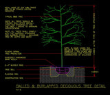 Free CAD Details-Deciduous Tree Detail - CAD Design | Download CAD Drawings | AutoCAD Blocks | AutoCAD Symbols | CAD Drawings | Architecture Details│Landscape Details | See more about AutoCAD, Cad Drawing and Architecture Details