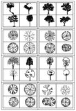 Tree and elevation bundle - CAD Design | Download CAD Drawings | AutoCAD Blocks | AutoCAD Symbols | CAD Drawings | Architecture Details│Landscape Details | See more about AutoCAD, Cad Drawing and Architecture Details