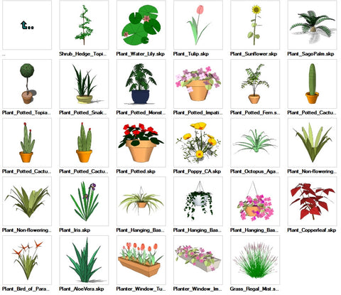●Sketchup Ornamentals Plant 3D Models