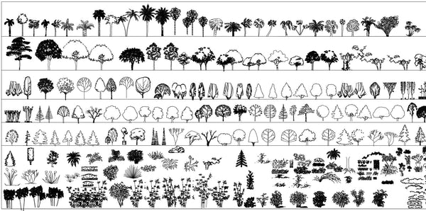 Autocad Tree Drawings