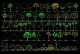 Tree blocks and elevation Set 3 - CAD Design | Download CAD Drawings | AutoCAD Blocks | AutoCAD Symbols | CAD Drawings | Architecture Details│Landscape Details | See more about AutoCAD, Cad Drawing and Architecture Details