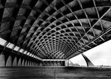 PalaLottomatica-Pier Luigi Nervi - CAD Design | Download CAD Drawings | AutoCAD Blocks | AutoCAD Symbols | CAD Drawings | Architecture Details│Landscape Details | See more about AutoCAD, Cad Drawing and Architecture Details